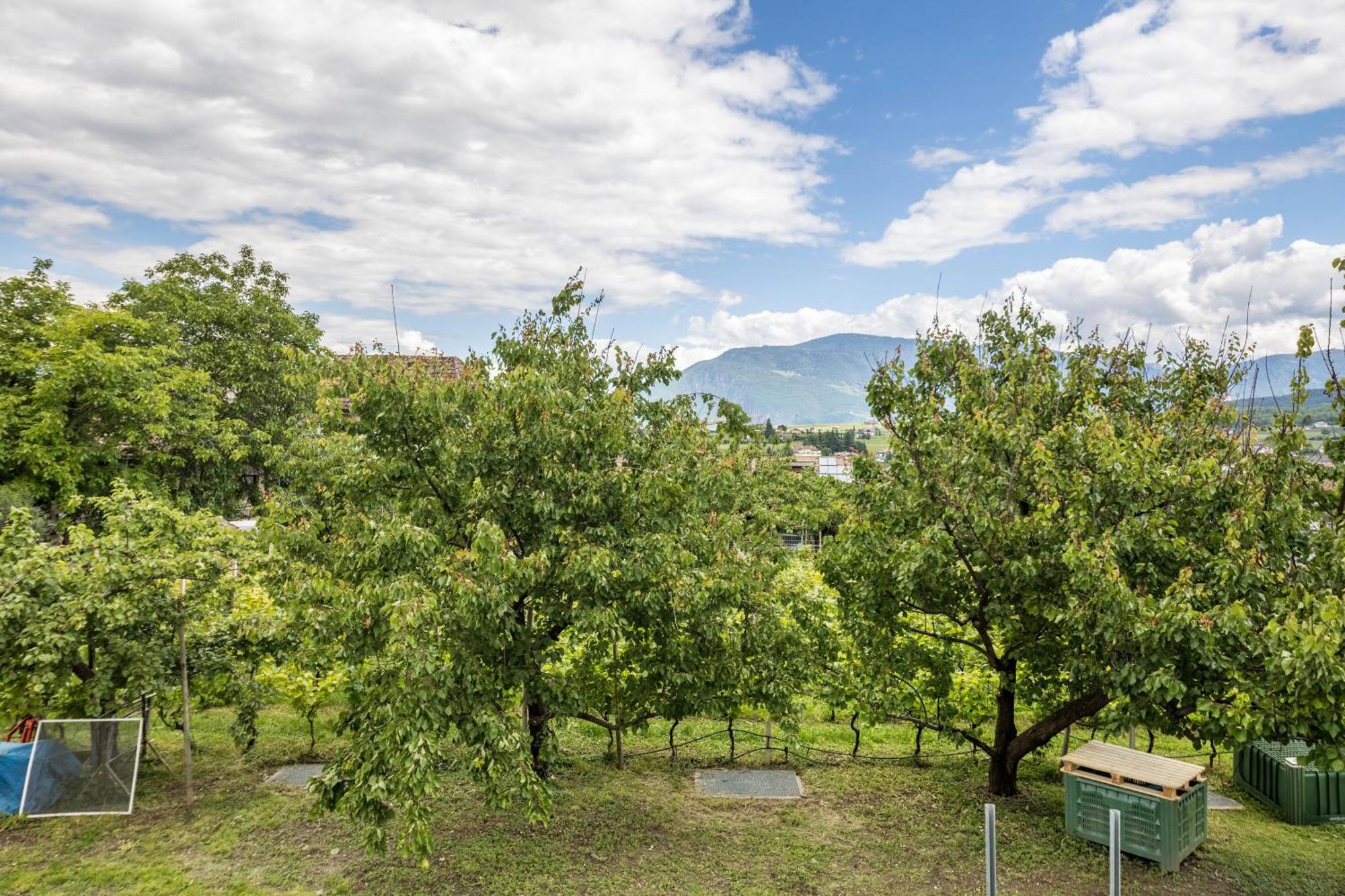 Angerblick Apartment Appiano Sulla Strada Del Vino Exterior photo