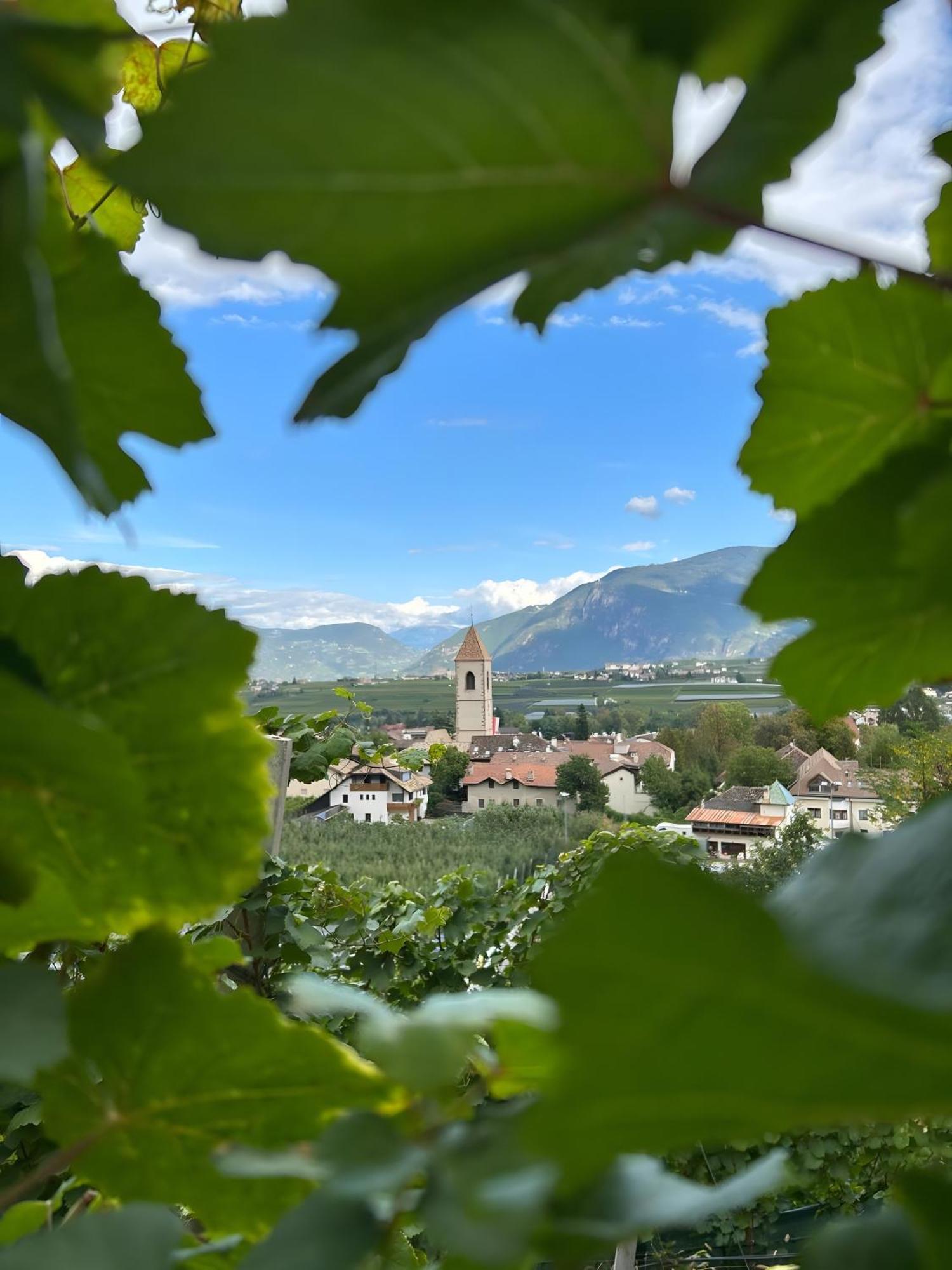 Angerblick Apartment Appiano Sulla Strada Del Vino Exterior photo